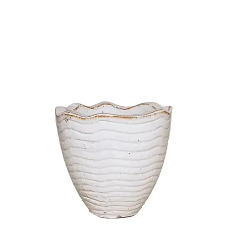 images/uploads/21773/thumb_21271-S Y30cm.webp